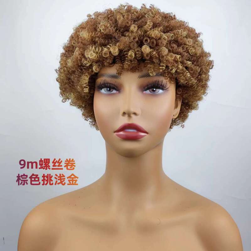 Short Hair Afro Kinky Curly Wigs For Women 100g爆炸头真人发|undefined