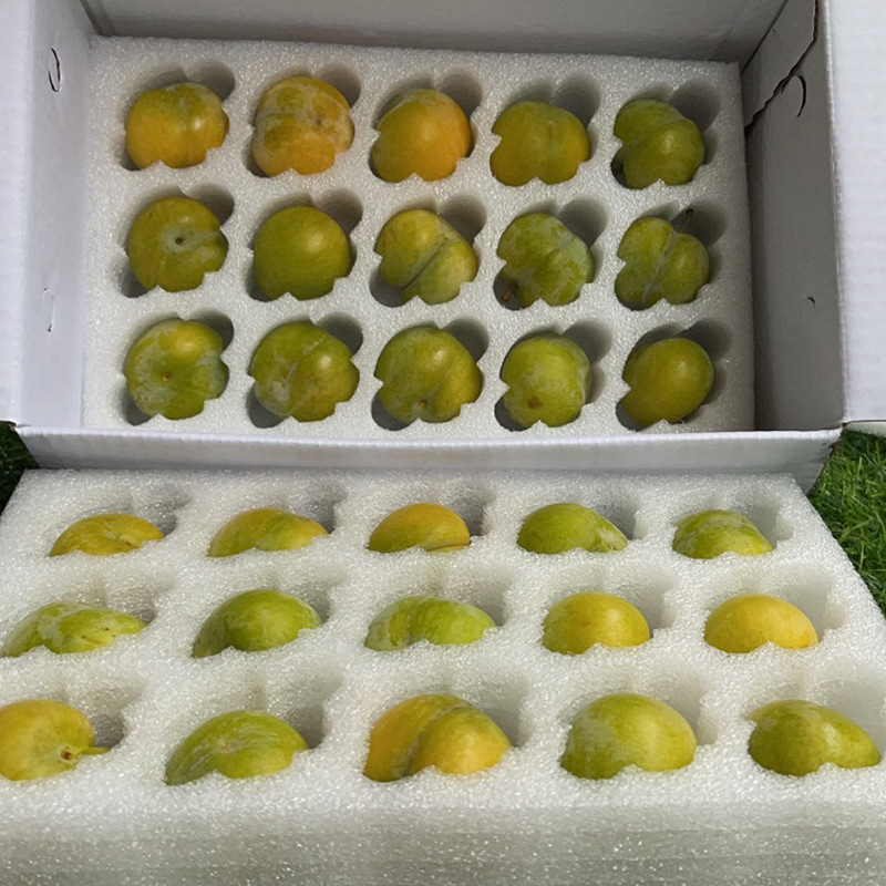epe珍珠棉水果托物流快递包装珍珠棉内衬各类水果礼盒 水果托