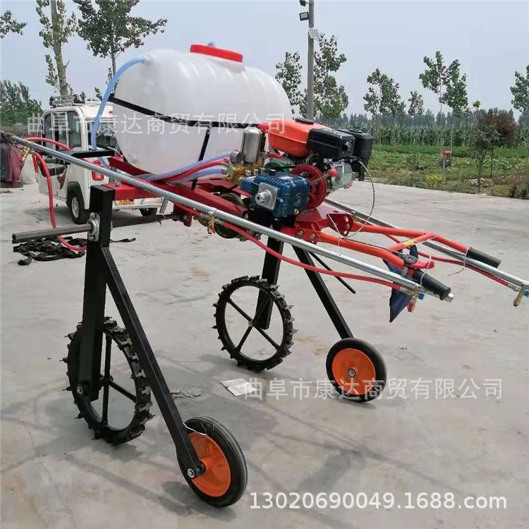 cf7de533377053924a033c28aea417