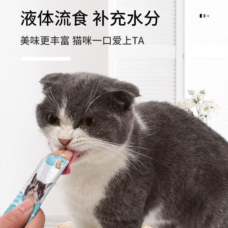 Cat Snacks 60 Pieces/Barrel for Fattening Cats with Gills, Small Fish, Dried Fish, Fresh Cat and Kitten Seconds, Licking Sauce Wet Food Pack