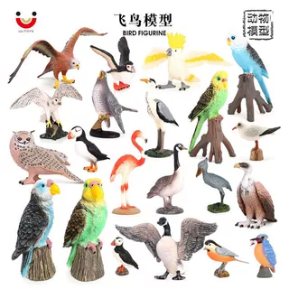 仿真动物模型实心飞鸟玩具 几维鸟鹦鹉猫头鹰火烈鸟海鹦 儿童认知