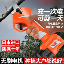 R늄Ӽ޼֦@ˇ֦늼֦