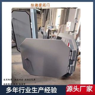 垃圾处理站防潮密闭门 油库防火密闭门 压型板密封门可按规格定制