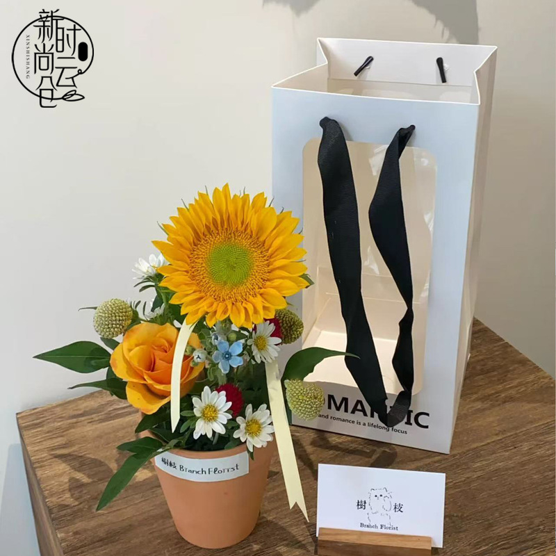 教师节仿陶塑料防水耐砸抗摔花盆盒向日葵鲜花花束小盆栽花艺材料|undefined