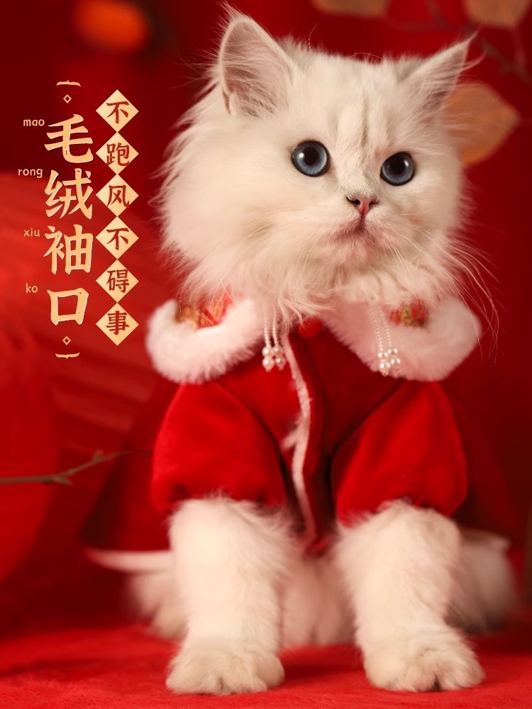 Vestido de terciopelo para mascotas vestido de terciopelo para mascotas ropa de gato otoño e invierno cálido títere festivo Año Nuevo gatito