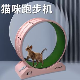 �����ܲ��C�L݆������݆���w�S��؈���ܵ��LͲ؈����؈���С؈