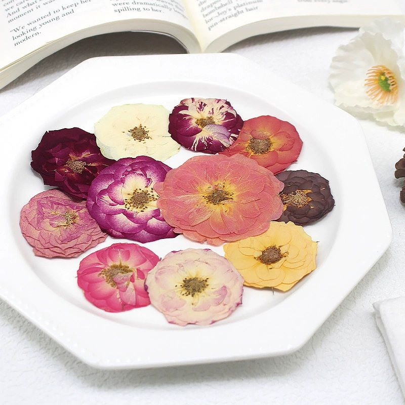 Пузырьковая розовая роза с тиснением образец растения обучение DIY ручная капельница чайный столик для украшения фоторамки закладок настольная лампа