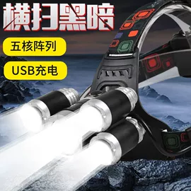 手电筒;头灯头戴电筒;提灯
