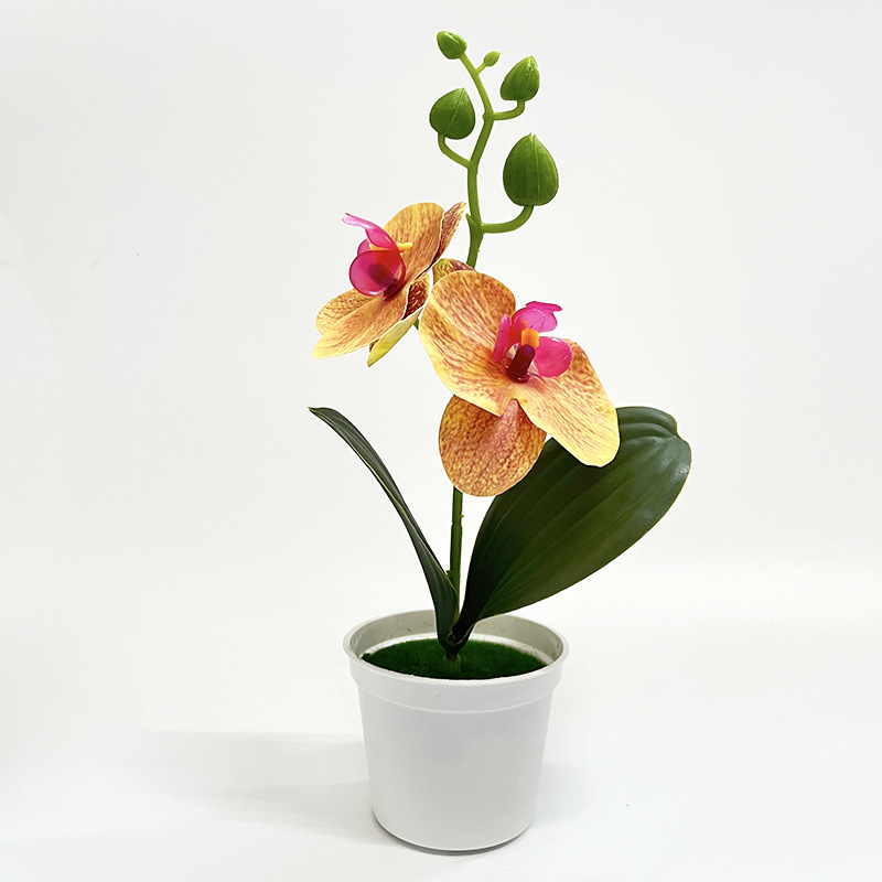오렌지 (높이 25*가로 13cm)