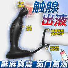 ǰ���ٰ�Ħ������Ʒ�������Ժ�ͥ���T��������Ը߳���ο����