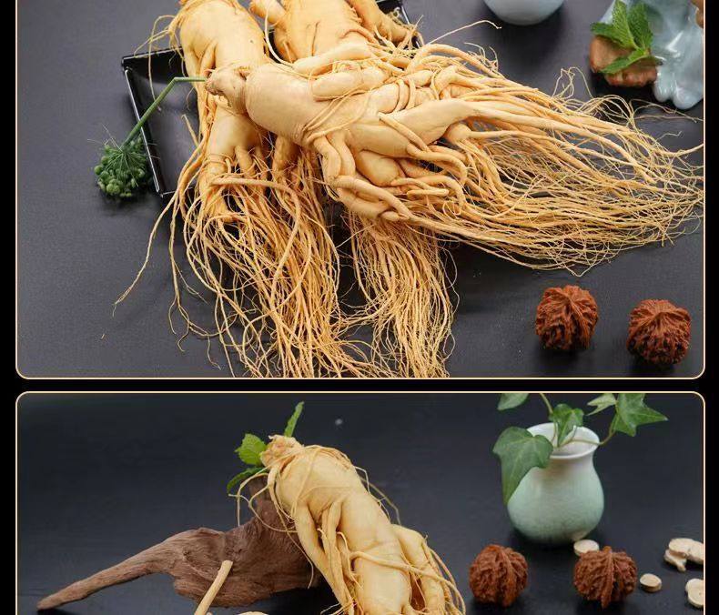 Fresh Changbai Mountain Ginseng Ren Shen Whole Root for Tea Wine and Cooking 350g quality and texture