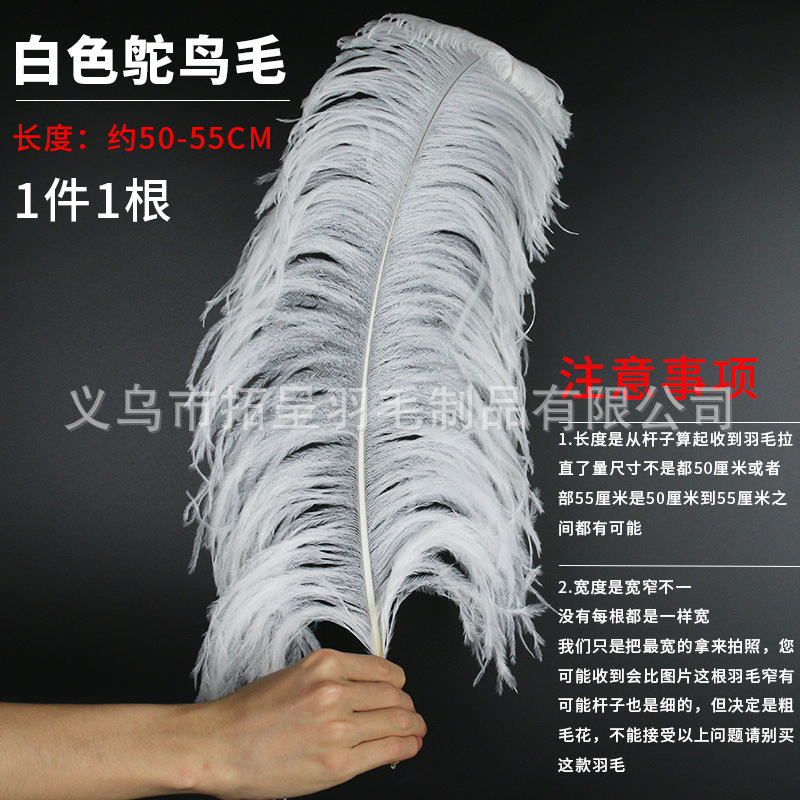 32호 흰 타조깃털 1개 50-55cm