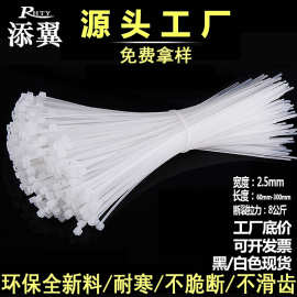 添翼尼龙扎带60*3*80*100*150*200*250*2.5捆绑扎线塑料扎带黑色