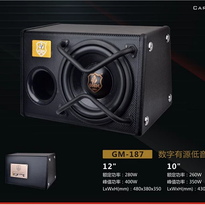 Car speaker/subwoofer Dual Magnet Dual Voice