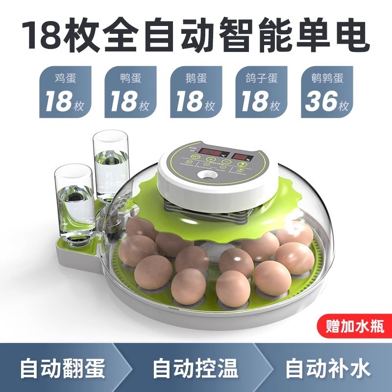 孵化器小型家庭用全自動孵化機知能ひよこ孵化器珍鳥卵専用越境供給源|undefined