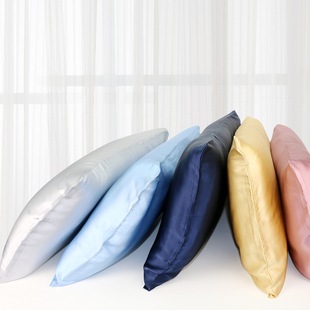 Big Sale Special Price 19mm Silk Modern Simple Zipper Pillowcase Reactive Printing and Dyeing Silk Pillowcase Mulberry Silk