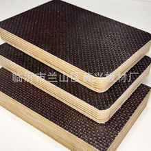 �S�ҹ�����Ĥ��ˮ�� �������Bģ�� ����ģ��12mm ������ ���Bģ��