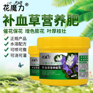 �aѪ�݌��àI�B������Ժ�Ժ����ֺ����˺����}녲��}녅��ļ��÷�