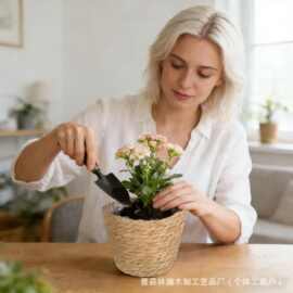 跨境水葫芦草编收纳篮客厅装饰绿植盆栽套酒店民宿装饰花盆收纳篮