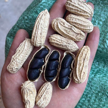 ώڻ؛ Ƥɻ1kg Ƥlһl