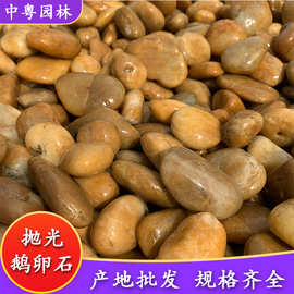 黄色鹅卵石天然河卵石五彩雨花石园林装饰铺地景石景观石