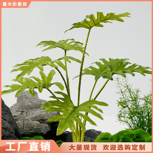 Gֲ ~ ҾbֲԈ@쾰˽辰PUܛzٻ