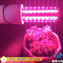 9W 580-780NM ȫ���׿���ѹLED���׵������ƴ��ﲹ���Grow Light