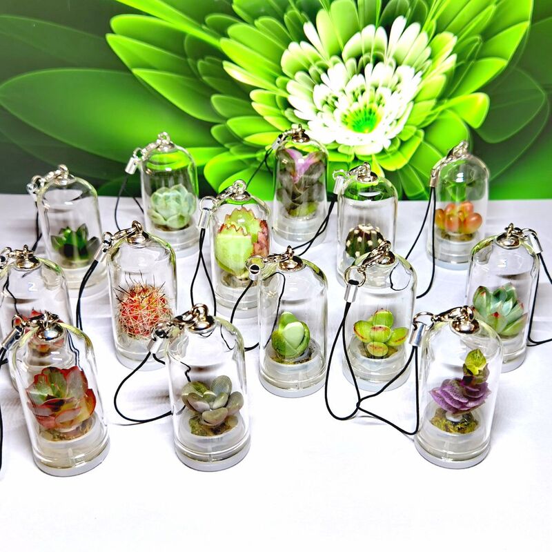 Succulent Green Plant Hanging Decoration Gift Micro Landscape Succulent Glass Bottle Mini Flower Room Mini Survival Keychain Finished Product