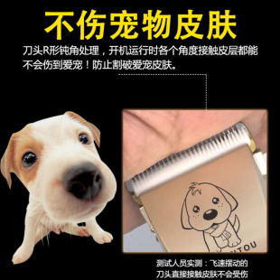 ����ë�����Ì�����ë����Ƽ�̩�Ϲ�ë�������l��؈��ͨ��