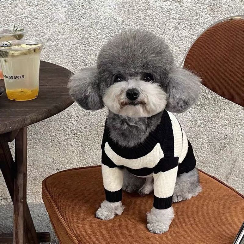 가을, 겨울 개 옷 인터넷 연예인 줄무늬 스웨터 시바견 테디 코기 프렌치 불독 작은 개 따뜻한 고양이 겨울 의류