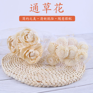 �Ý�ֲ��ͨ�ݸɻ��Ҿ��b��滨����޹�ٗlĵ�����o�ľչ�ˇƷ