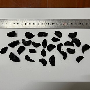 �����׺�����ȥƤ�����׶������׳��������ձ��n��