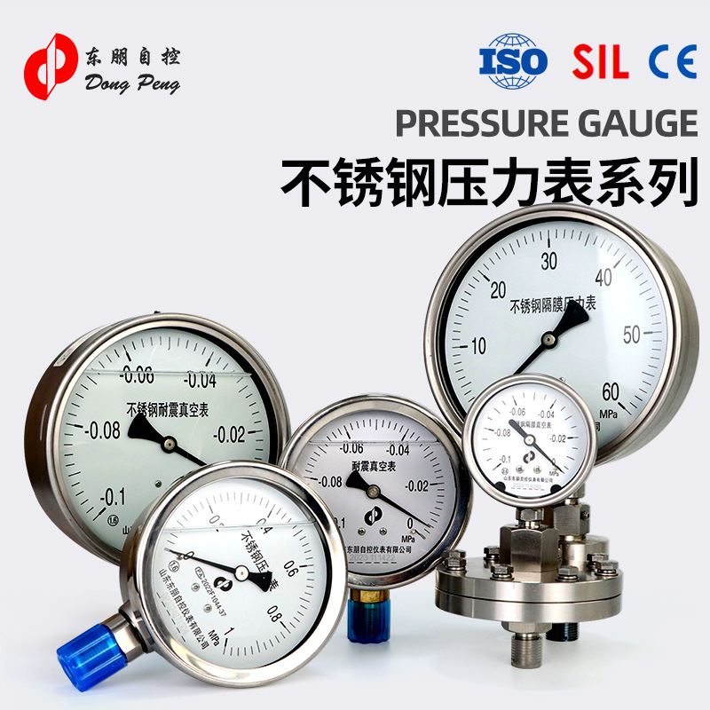 东朋 YTN-100H不锈钢耐震压力表(0～1)MPa，M20*1.5，精度：1.6