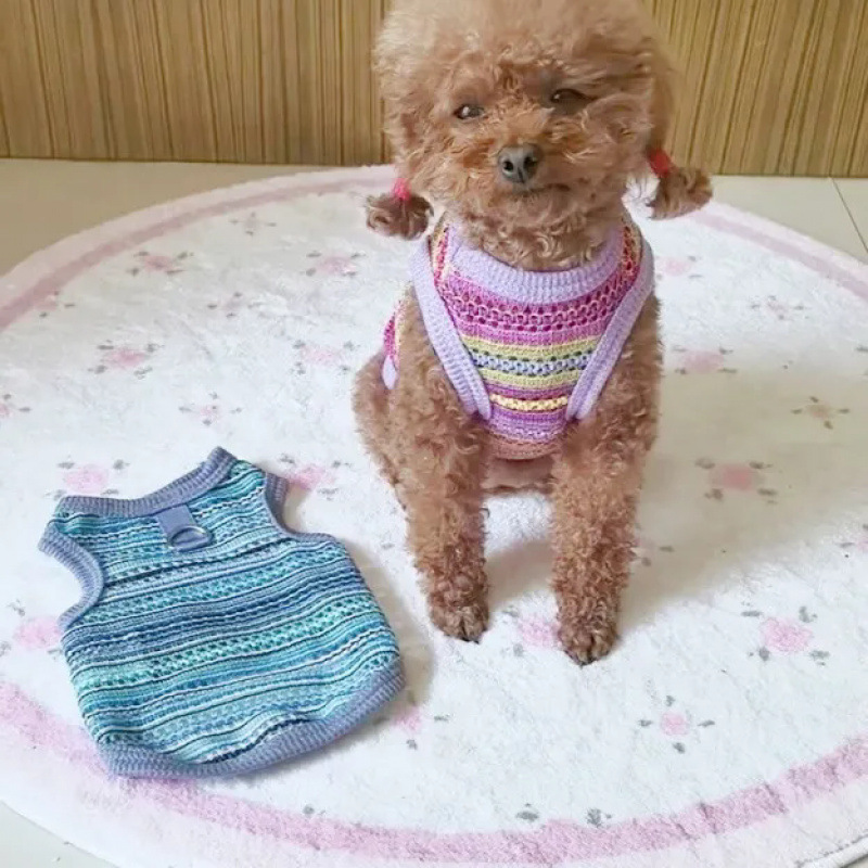 Ropa para perros mascotas gatos Teddy Boomerang pequeña princesa encantadora que oso hueco chaleco encantador puede ser traído