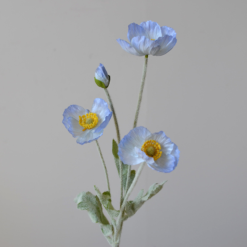 으깬 아이스 블루