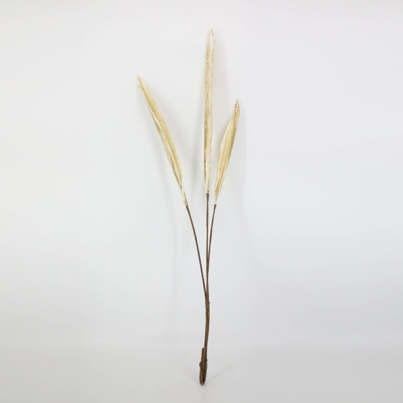 花の卸売りは葉の白い果物の手を持って3叉の大きい剣の葉の乾燥する花の芸術の生け花の材料の撮影の道具があります。|undefined