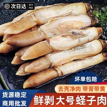 �|�������rȥ����ؐoɳ�F�����x���|�������ˮ�a���r����