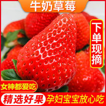 ��ݮ�Fժ���rţ�̼t��Ǻ��Jˮ�������ݮ���l�r���Á��R�d���l�S