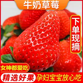 传统糕点;西式糕点;饼干