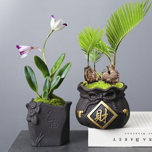 ���₀����ɰ�����մ�С��ׯ�����ҵ�ֲ���辰�������������Ї��L