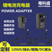 4.2V1A 8.4V1A 12.6V1A 12.6V2A 16.8V1A 21V1A锂电池充电器18650