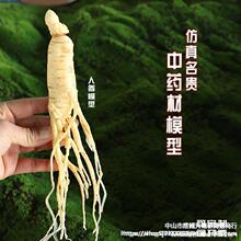 ș�Ę˱�ģ�ͽ̾��S�����˅����`֥����x�ݵ��ߙ���