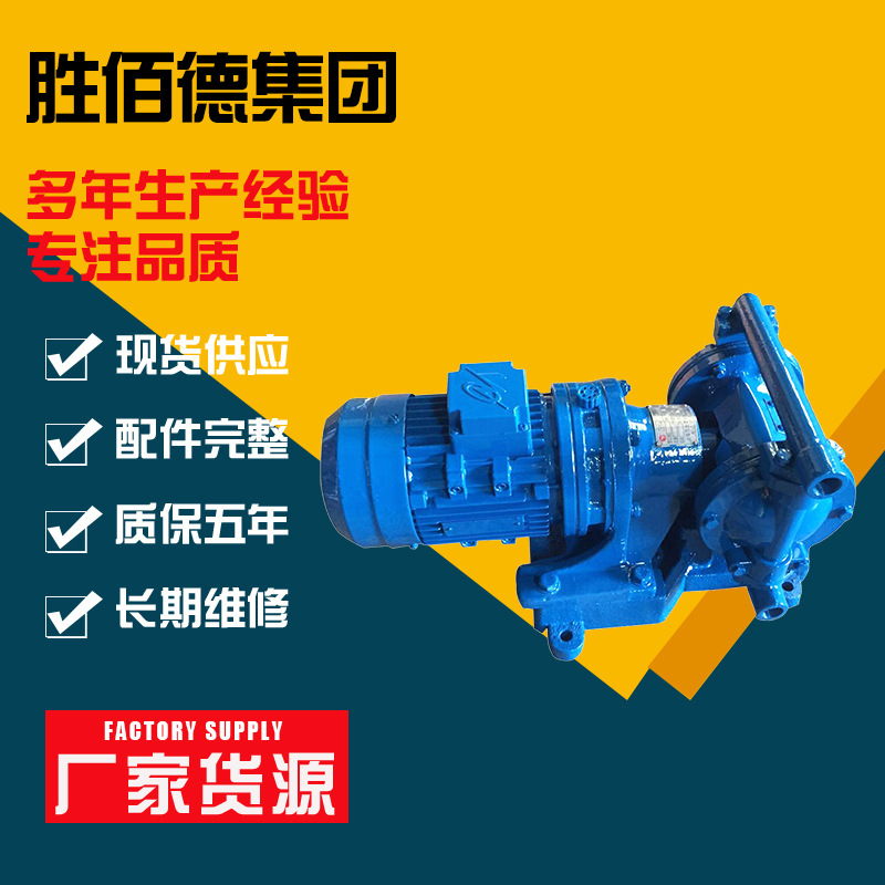 厂家批发 DBY-10 电动隔膜泵 304不锈钢 电动隔膜泵 不锈钢排污泵