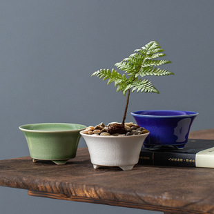 Factory Direct Supply Mini Ice Split Glaze Open Pieces Glazed Pottery Porcelain Flower Pot Bamboo Fern Moss Calamus Wild Flower Wild Grass Flower Pot