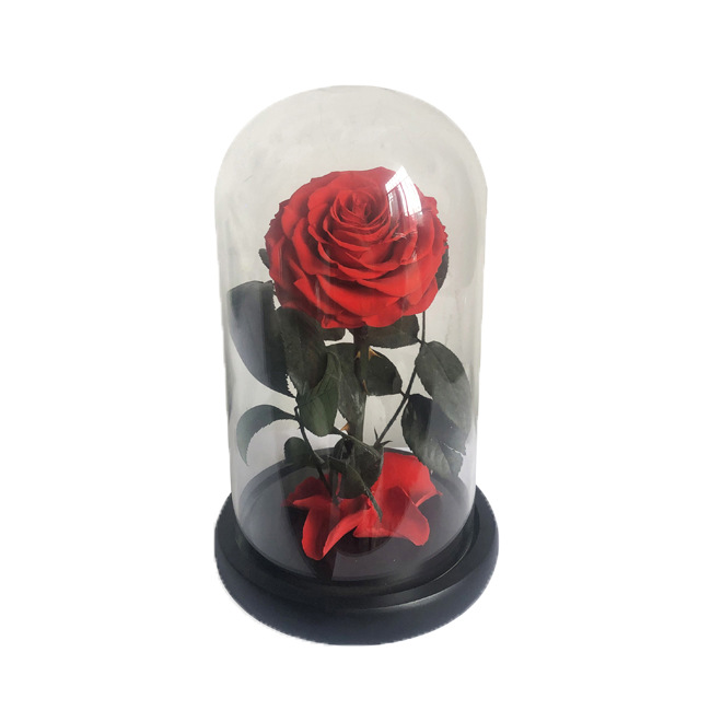Eternal Flower gift box little Prince Rose glass cover for girlfriend birthday mother Valentine's Day gift dried bouquet