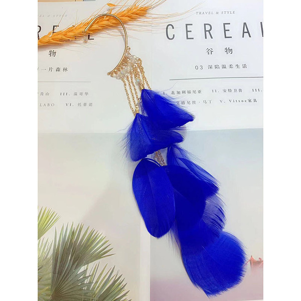 Elegant ear clips