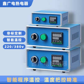 智能恒温控制箱电子式温度控制箱温控器发热棒板模具加热控温