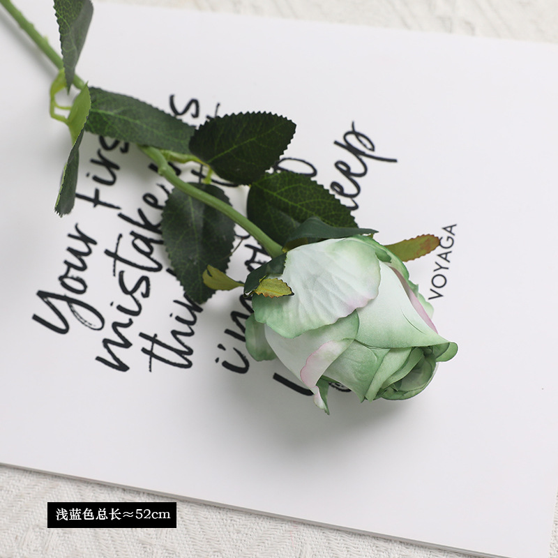 라이트 블루