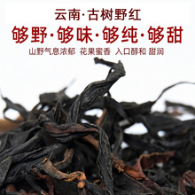 野韵实足古树晒红 无量山千家寨野红古树红茶批发 滇红茶散装500g