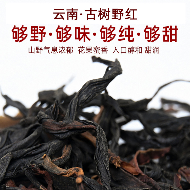 野韵实足古树晒红 无量山千家寨野红古树红茶批发 滇红茶散装500g